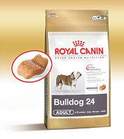 Royal Canin BULLDOG - корм для английских бульдогов