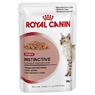 Royal Canin в соусе или желе, 1 x 85 g