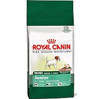 Royal Canin MINI JUNIOR корм для цуценят 2-10 місяців