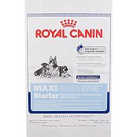Royal Canin MAXI STARTER - первый твердый корм для щенков крупных пород