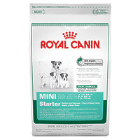 Royal Canin MINI STARTER