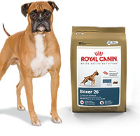 Royal Canin BOXER - корм для боксеров