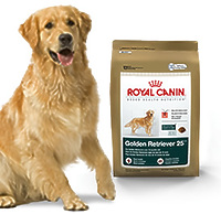 Royal Canin GOLDEN RETRIEVER - корм для собак породы голден ретривер