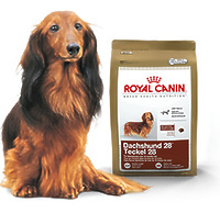Royal Canin DACHSHUND - корм для такс