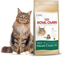 Royal Canin MAINECOON 31 - корм для кошек